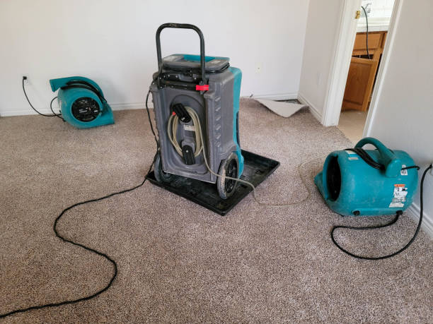 Best Water damage repair service  in Miramar, FL