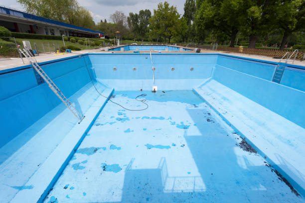 Best Mold removal after water damage  in Miramar, FL