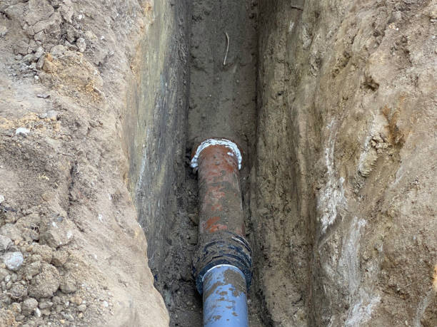 Best Flood damage cleanup  in Miramar, FL