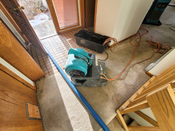 Reliable FL Water damage restoration Solutions