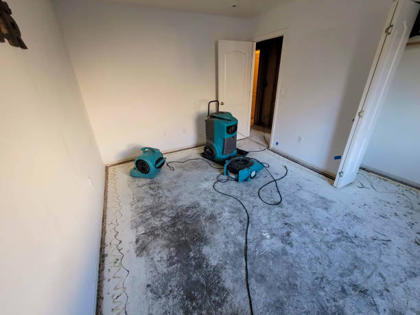 Best Fire Damage Restoration  in Miramar, FL