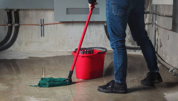 Best Basement water damage restoration  in Miramar, FL