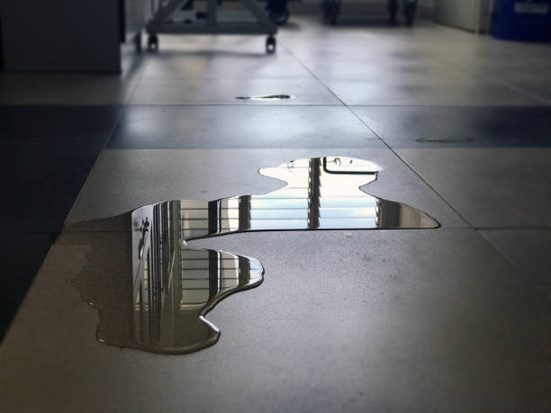 Best Water damage restoration near me  in Miramar, FL