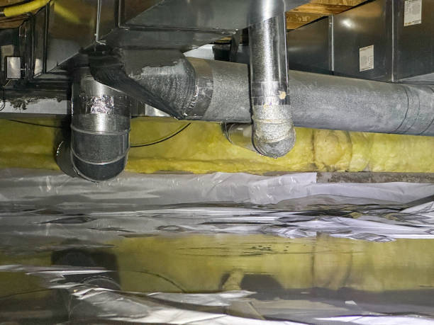 Best Flood damage cleanup  in Miramar, FL