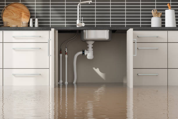 Best Water damage restoration mold remediation  in Miramar, FL